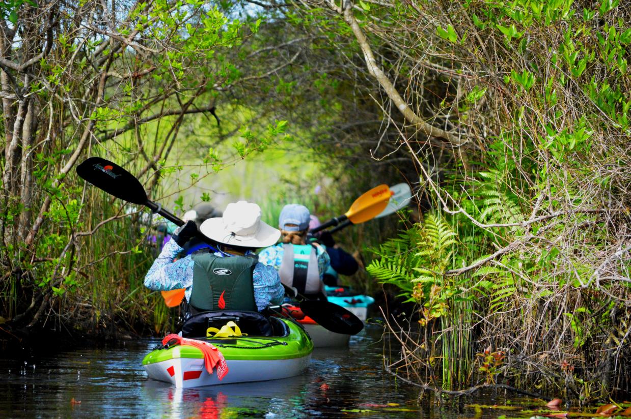 Entrance To Ed's Secret Paddle